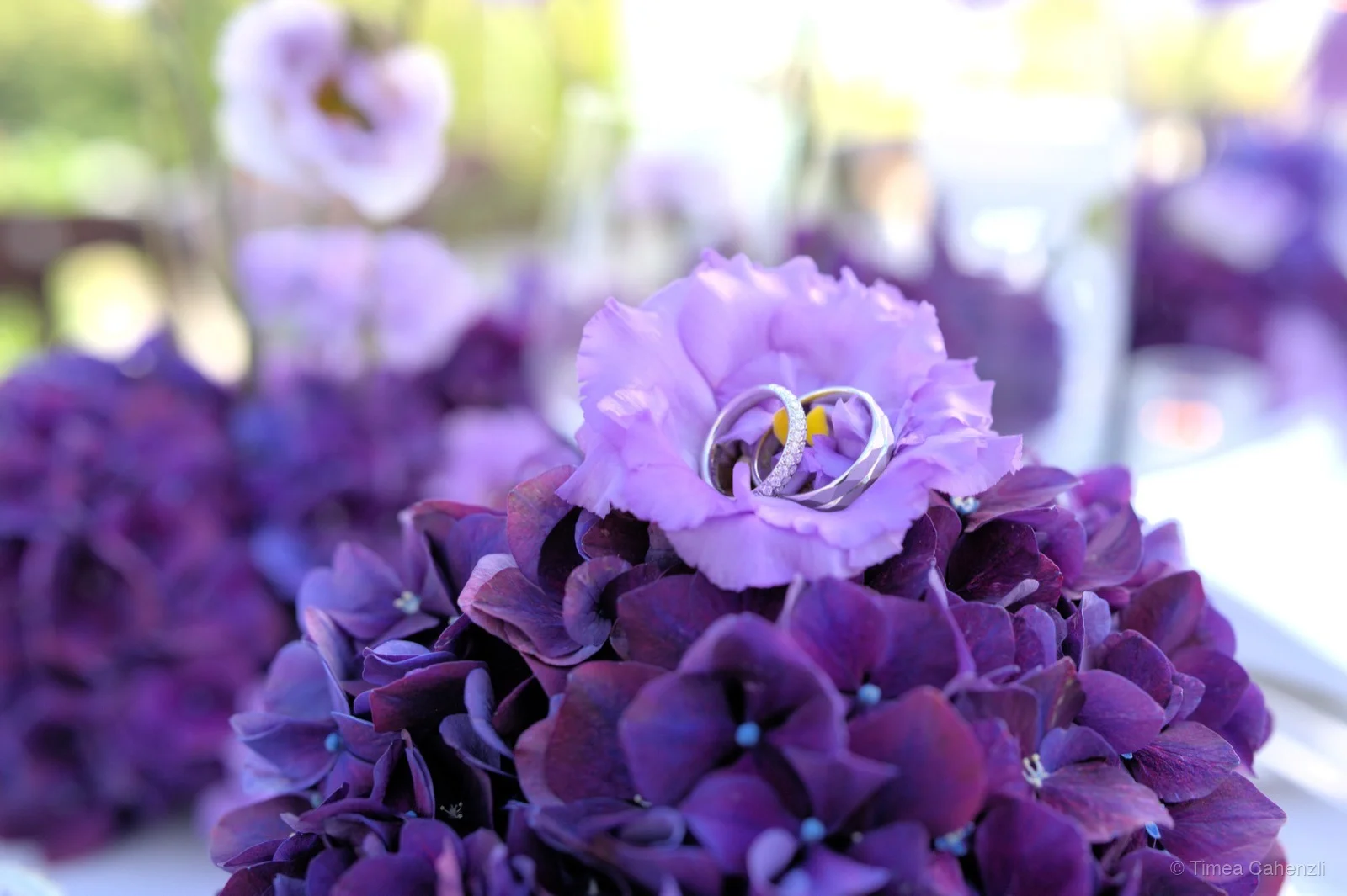 Trauringe auf Hortensienstrauss – Ringdetail Hochzeitsfotografie
