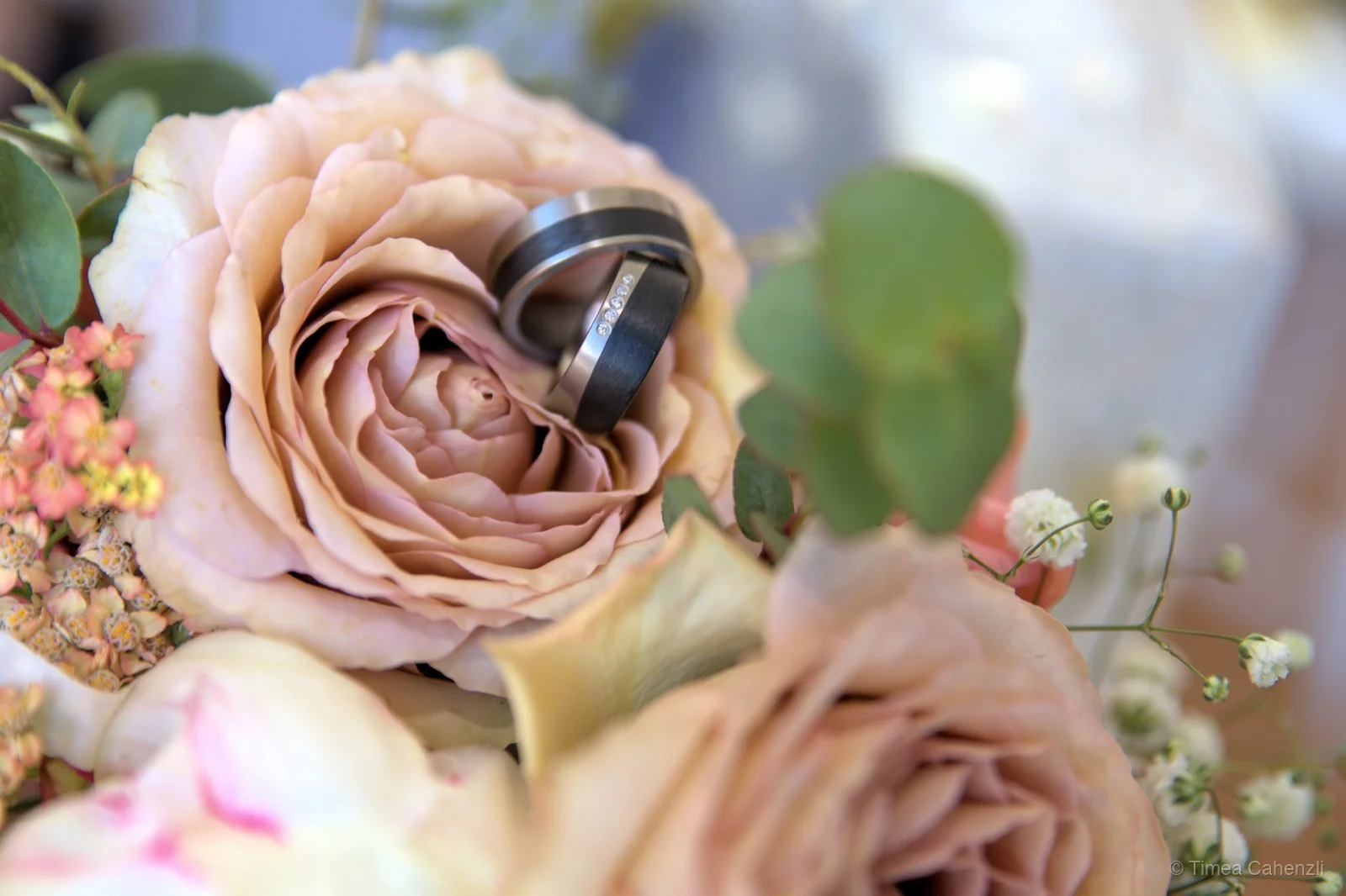 Trauringe auf Rosenblüte – Ringdetail Hochzeitsfotografie