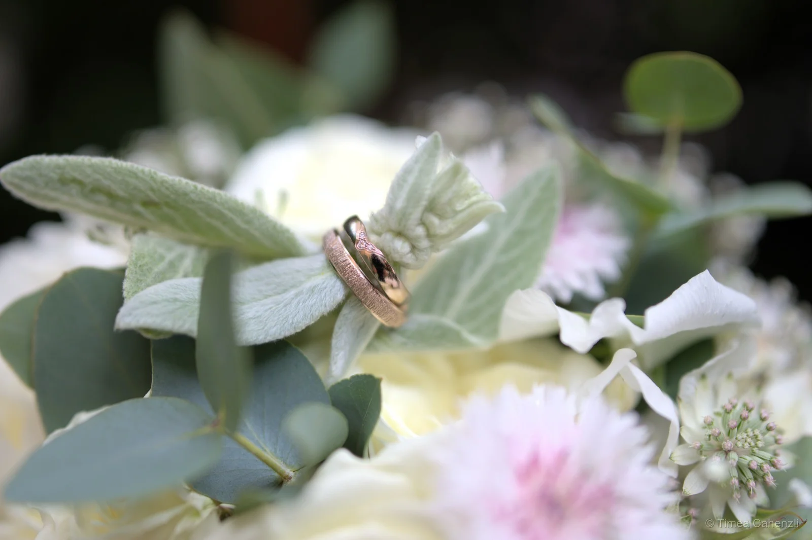 Trauringe auf weissem Blumenstrauss mit Eukalyptus – Detailfotografie Hochzeit